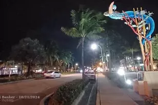 3100 NE 49th St, Fort Lauderdale, FL 33308 - Photo 28