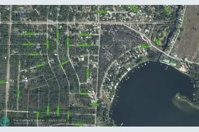 805  Gardenia St, Lake Placid, FL 33852 - Photo 4