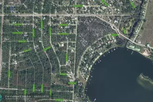 805 Gardenia St, Lake Placid, FL 33852 - Photo 4