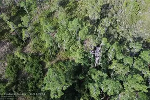 3029 Hawks Lndg Cir, Sebring, FL 33875 - Photo 14