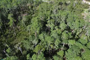 3029 Hawks Lndg Cir, Sebring, FL 33875 - Photo 16