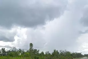 9205 Zorn St, Other City - In The State Of Florida, FL 33981 - Photo 2