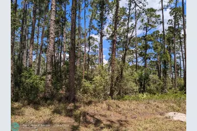 430  Apple Blossom Ave, Lake Placid, FL 33852 - Photo 4