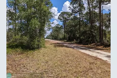 430  Apple Blossom Ave, Lake Placid, FL 33852 - Photo 2