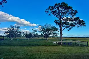 14151 E Center St, Okeechobee, FL 34974 - Photo 34