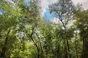 6691 N Bedstrow Blvd, Citrus Springs, FL 34434 - Photo 2