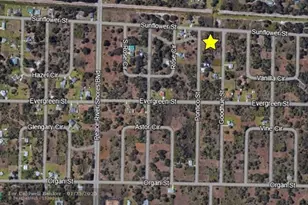 29315 Goodhue St, Punta Gorda, FL 33982 - Photo 2