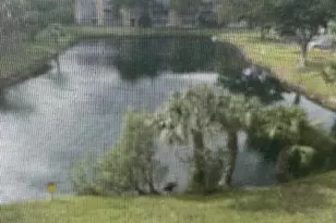 3141 NW 47th Terrace, Lauderdale Lakes, FL 33319 - Photo 2