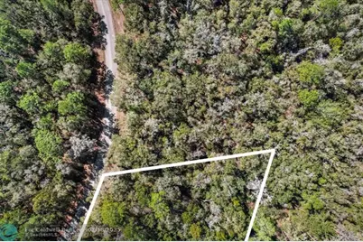 987 E Odin Dr, Dunnellon, FL 34434 - Photo 6