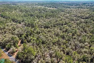 987 E Odin Dr, Dunnellon, FL 34434 - Photo 10