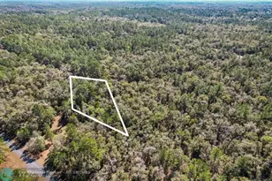 987 E Odin Dr, Dunnellon, FL 34434 - Photo 4