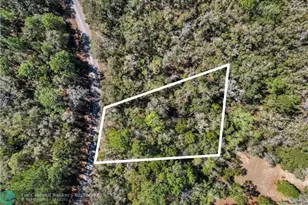 987 E Odin Dr, Dunnellon, FL 34434 - Photo 2