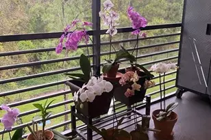 7515 NW 79th Ave, Tamarac, FL 33321 - Photo 18