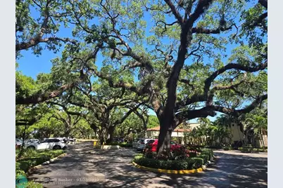 9400  Live Oak Pl, Unit #305, Davie, FL 33324 - Photo 84