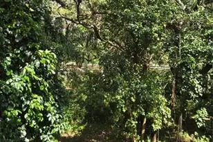 9400 Live Oak Pl, Davie, FL 33324 - Photo 22