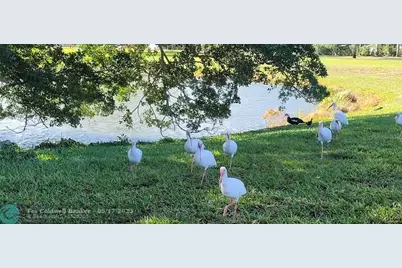 4070  Exeter D, Boca Raton, FL 33434 - Photo 38