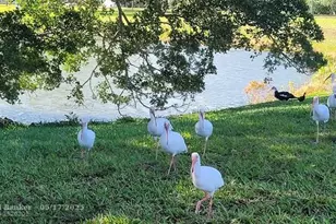 4070 Exeter D, Boca Raton, FL 33434 - Photo 38