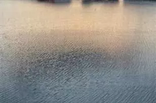 4070 Exeter D, Boca Raton, FL 33434 - Photo 36