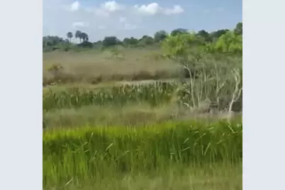 14828 NW 280th, Okeechobee, FL 34972 - Photo 2