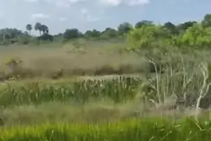 14828 NW 280th, Okeechobee, FL 34972 - Photo 2