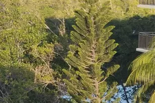 17890 W Dixie Hwy, North Miami Beach, FL 33160 - Photo 12