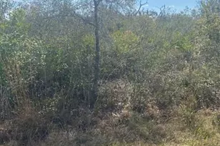 Lot 5 Blk 341 Palm Beach Dr, Indian Lake Estates, FL 33855 - Photo 4