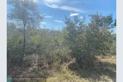 Lot 5 Blk 341  Palm Beach Dr, Indian Lake Estates, FL 33855 - Photo 2