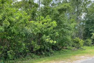 Lot 5 Blk 274 Allamanda Dr, Indian Lake Estates, FL 33855 - Photo 2