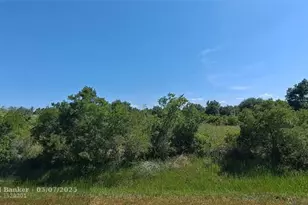 19264 NW 264th St, Okeechobee, FL 34972 - Photo 14