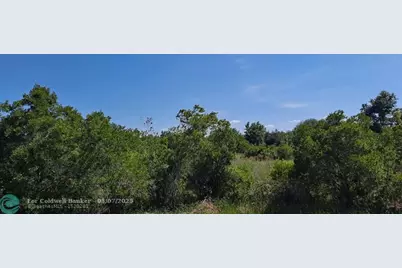 19264 NW 264th St, Okeechobee, FL 34972 - Photo 12