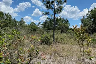 Lot 24 Indian Lake Dr, Indian Lake Estates, FL 33855 - Photo 2