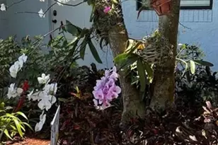 1975 SE 3rd St, Deerfield Beach, FL 33441 - Photo 34