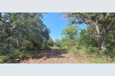 17711 NW 278th St, Okeechobee, FL 34972 - Photo 8