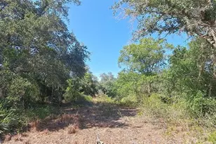 17711 NW 278th St, Okeechobee, FL 34972 - Photo 8