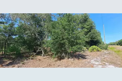 17711 NW 278th St, Okeechobee, FL 34972 - Photo 10