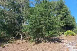 17711 NW 278th St, Okeechobee, FL 34972 - Photo 10