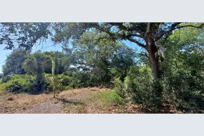 17711 NW 278th St, Okeechobee, FL 34972 - Photo 6