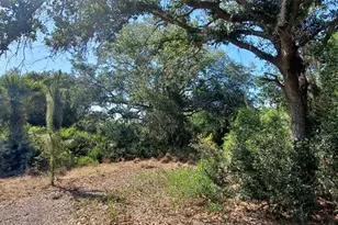 17711 NW 278th St, Okeechobee, FL 34972 - Photo 6