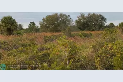 0 NW 314th St, Okeechobee, FL 34972 - Photo 12