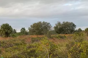 0 NW 314th St, Okeechobee, FL 34972 - Photo 12