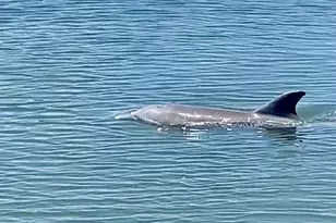 200 Greytwig Rd, Vero Beach, FL 32963 - Photo 20