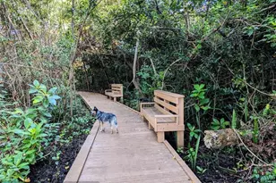 1717 SW 14th St, Fort Lauderdale, FL 33312 - Photo 36