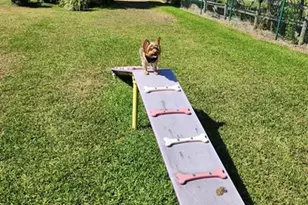 542 SW 40th Cove Lot 53, Okeechobee, FL 34974 - Photo 44