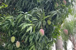 4401 NW 43 Ave, Tamarac, FL 33319 - Photo 20