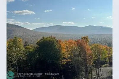 00  US Rte 2, Other City - Not In The State Of Florida, FL 03593 - Photo 4