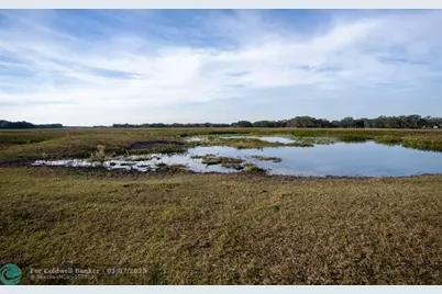 0  Lake Hatcheneha, Haines City, FL 33844 - Photo 10