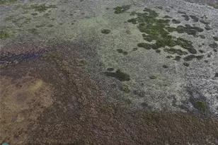 0 Lake Hatcheneha, Haines City, FL 33844 - Photo 26