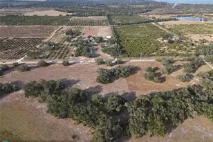 0 Lake Hatcheneha, Haines City, FL 33844 - Photo 22