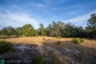 0 Lake Hatcheneha, Haines City, FL 33844 - Photo 16