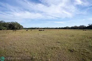 0 Lake Hatcheneha, Haines City, FL 33844 - Photo 2